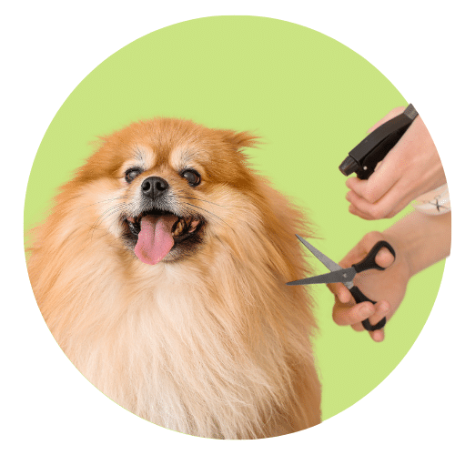 Grooming & Petcare